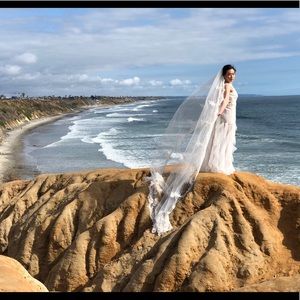 David's Bridal ivory cathedral length veil